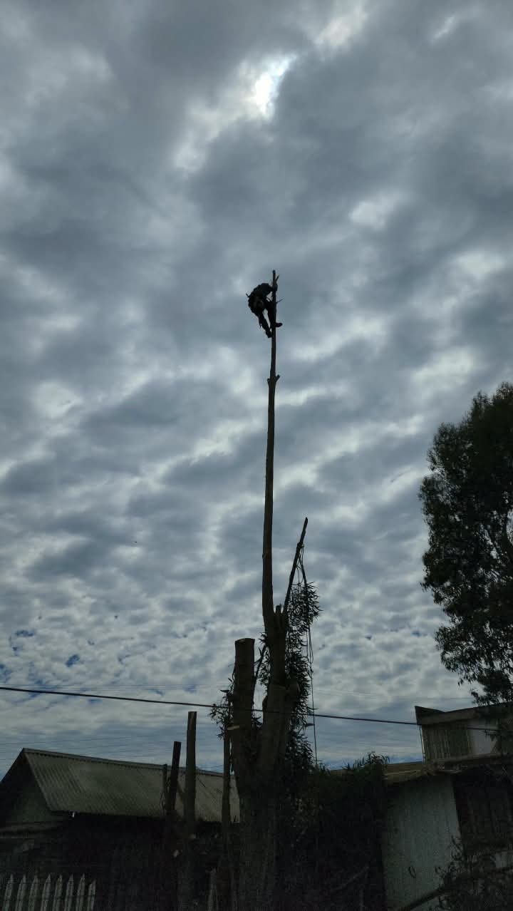 Trabajador con arnés de seguridad descendiendo desde altura